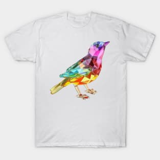 Colourful Crystal Glass Bird Figurine T-Shirt